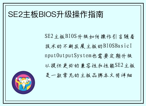 SE2主板BIOS升级操作指南